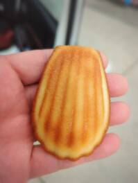 焼きたてマドレーヌしか勝たん　魚沼　パティスリー　アローイ　Sweets男子のスイーツ巡り