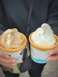 べこの乳　ソフトクリームしか勝たん　福島　べこの乳　Sweets男子のスイーツ巡り