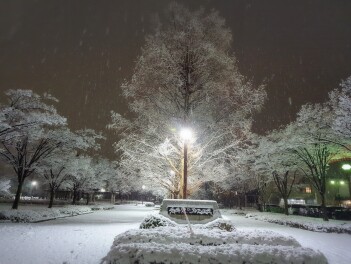 雪の華　咲く　雪景色Photograph