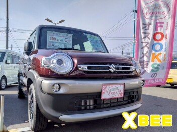 FOOKSが選んだ初売り目玉車！