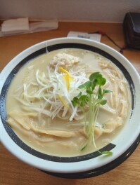 新店オープン　柏崎　中華蕎麦たか橋　鶏白湯塩そばしか勝たん　麵人　麺狂い　麺紀行　啜郎の麵スタグラム