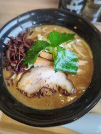 特濃中華そばを喰らうの巻　新潟　麺や燈花　麺人　麵狂い　麵紀行　啜郎の麵スタグラム