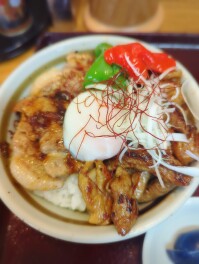 南魚沼市　本気丼2025始まるの巻　塩沢　まつい食堂　Gourmet男子のグル巡り
