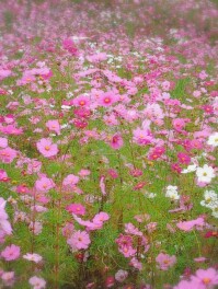 魚沼ツーリング　バイク男子のツーリング日記