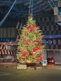 アオーレ長岡　クリスマスイルミネーション　始まる