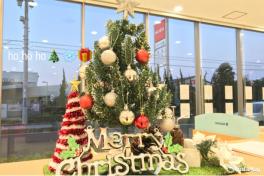 ショールームは早くもCHRISTMAS~★彡12月末までまだまだ愛車無料点検実施中★‼