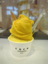 世界大会優勝ジェラートを喰らうの巻　ただいまーと　ジェラテリアCOCO　Sweets男子のスイーツ巡り