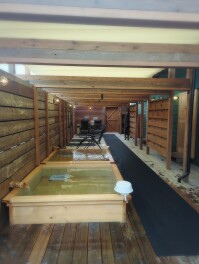 サウナ新店オープン　燕市　ars.sauna  サウナ男子のサウナ―日記