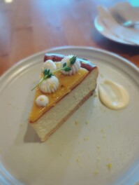 レモンのチーズケーキを喰らうの巻　燕市　Bloomy　Cafe　Sweets男子のスイーツ巡り