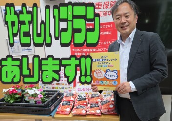 かえるプランはどうですか？？