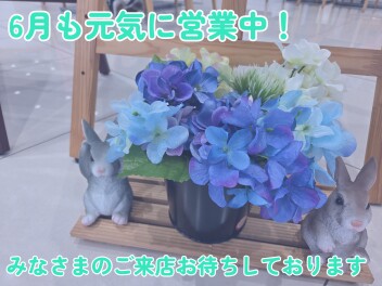 ★梅雨バージョンにチェーーンジ★