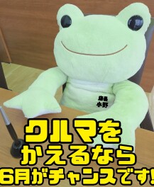 お買い得な６月がもうすぐ終わります！！