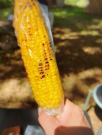 焼きとうもろこしを喰らうの巻　長野　小林農園　Gourmet男子のグル巡り