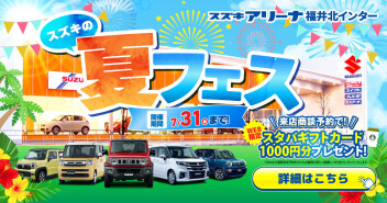 スズキの夏フェス！