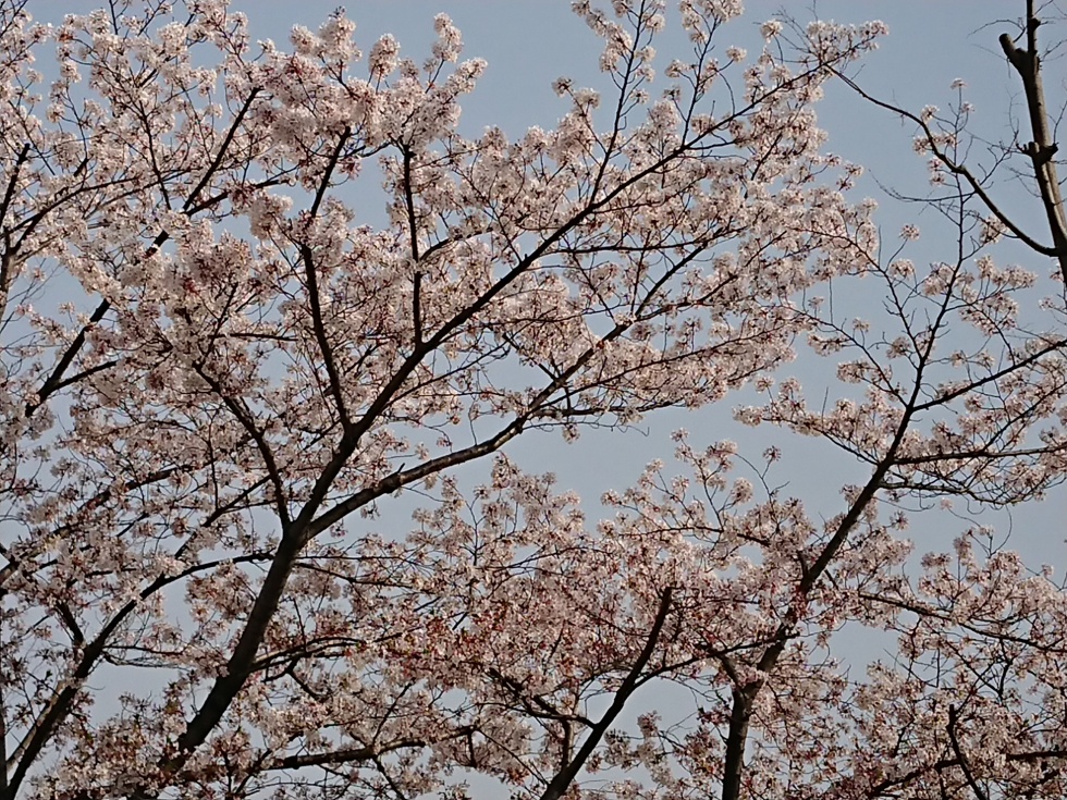DSC_0092
