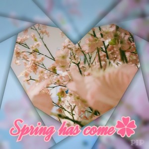 知って得する こんな違いがあったのか Episode No 08 Amp プレゼント情報 イベント キャンペーン お店ブログ 株式会社 スズキ自販近畿 スズキアリーナ寝屋川 寝屋川センター