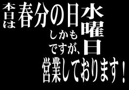 本日は営業しております！