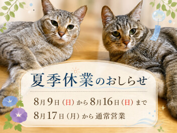夏休み(*´ω｀*)