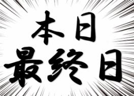 初売りフェアは本日が最終日！！