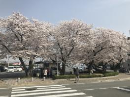 新年度がスタートです(^^)☆彡