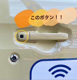 これ、セキュリティーアラームやったんや！！