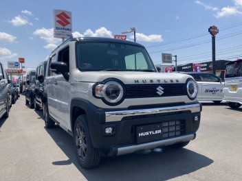 新型ハスラー★タフワイルド入りました！