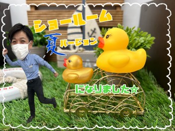 夏です！
