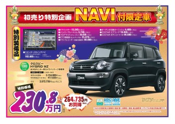 初売りナビ付限定車