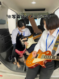スペーシアベースで愛犬と旅をしよう！！
