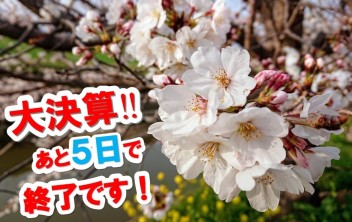 ✿スズキ大決算✿３月末まで‼