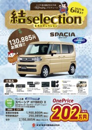 お得なワンプライス車あります！