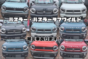 ハスラー・ハスラータフワイルド展示車複数ございます
