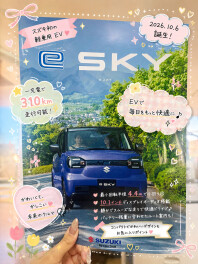 e SKY！！！！！
