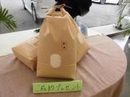 11月のご成約プレゼント
