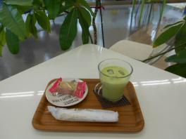 抹茶オーレはじめました♪