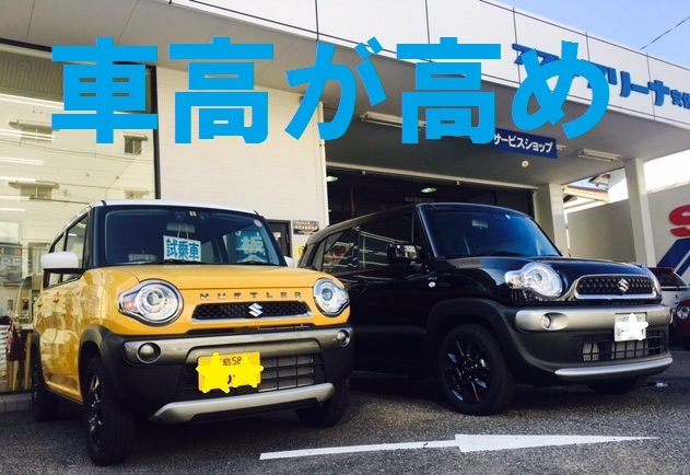 車高が高め