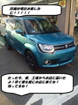 店長決裁車のイグニスが只今入荷しました！