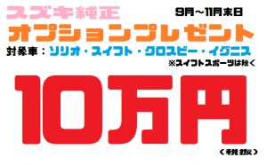 オプション10万円