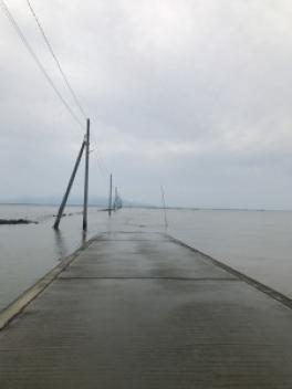 海に電柱！？長部田海床路をみてきました☆