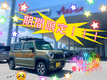注目～！期間限定ですよ！！！！！