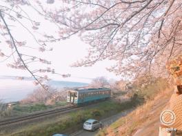 新しい季節に新しい車を（＾－＾）☆