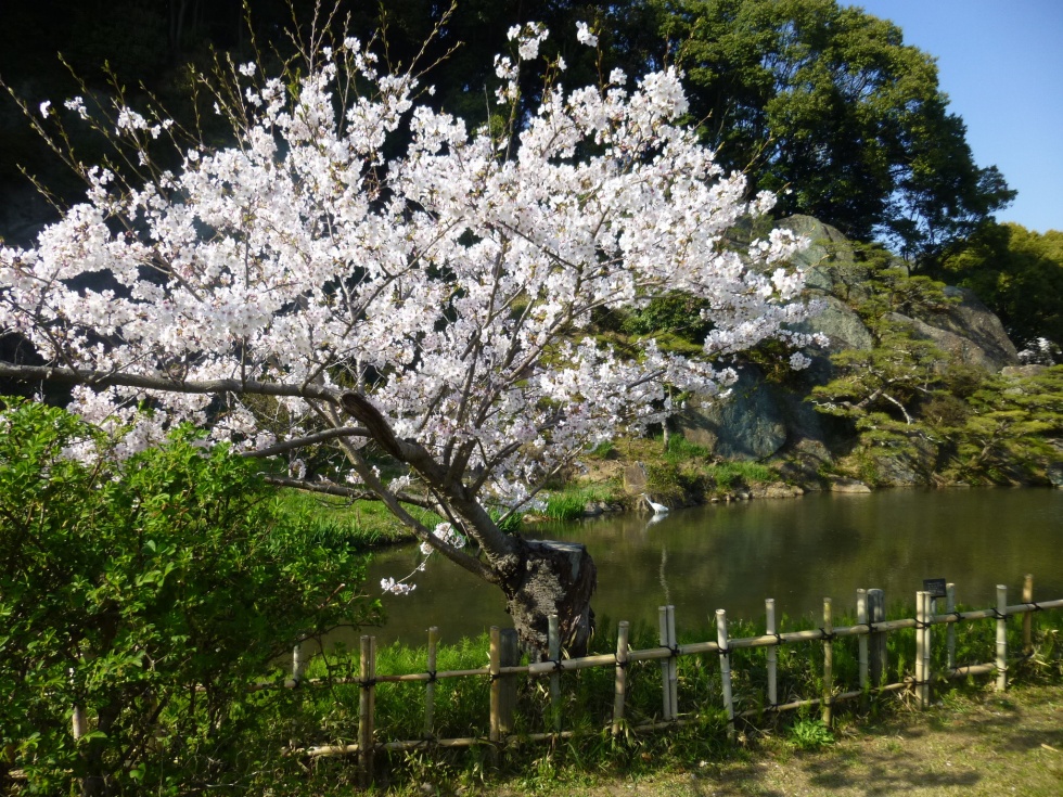 P1030205