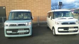 寒い日が続いています