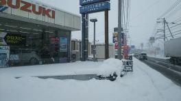 大雪警報発令中！