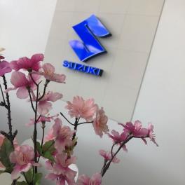 ショールームが春仕様になりました！