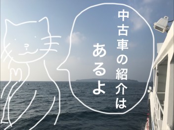 ドキッ！　まるごと肉球！　にゃんこだらけの相島！　～ポロリはないよ～