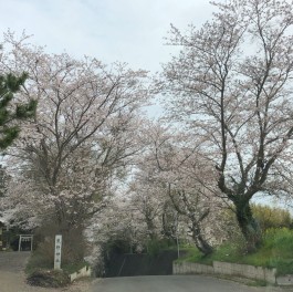 ４月になりました★