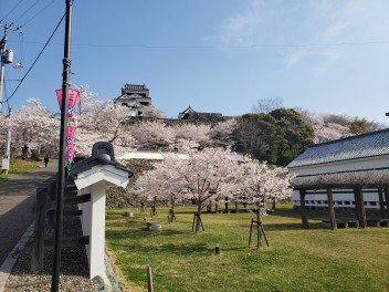 再び大洲城へ