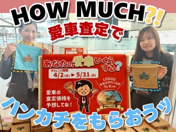 じぶんのクルマの価値はいくらか知ろう!!愛車査定 促進中!!