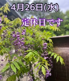 定休日のお知らせですm(__)m